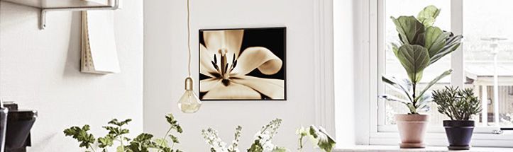 올댓포스터 대표 이미지