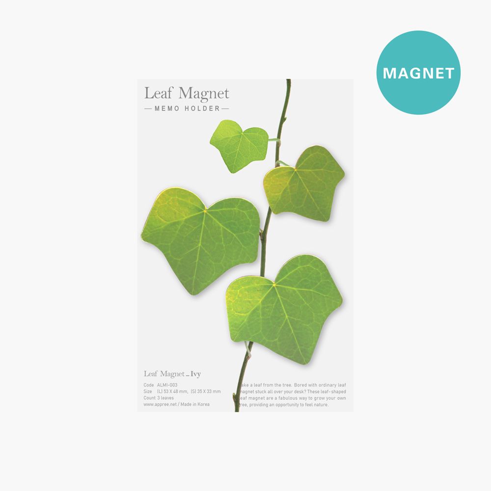 리프마그넷_담쟁이(3p 한세트)
