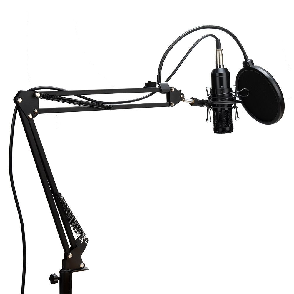개인 방송용 스탠드 마이크