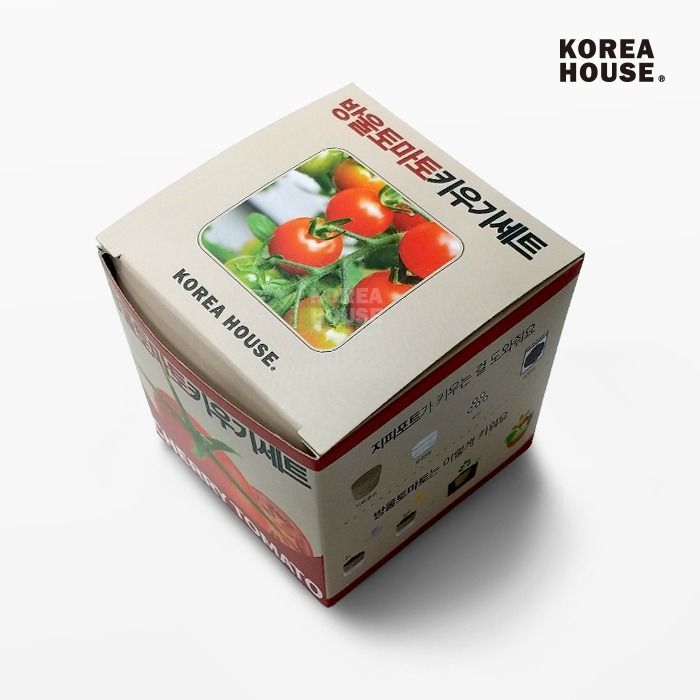 방울토마토 키우기세트 