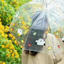 Romane 투명 우산
