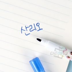 위시캣 24색 워셔블사인펜