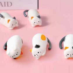 데굴데굴 고양이