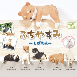 Yell 후치야스미 시바견