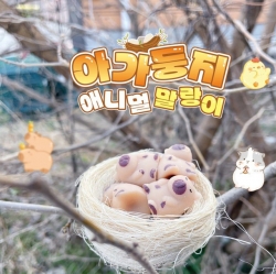 아가둥지 애니멀 말랑이 낱개 (랜덤발송)