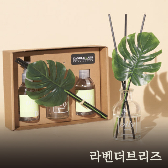 올리 몬스테라 디퓨저 기프트세트_라벤더브리즈