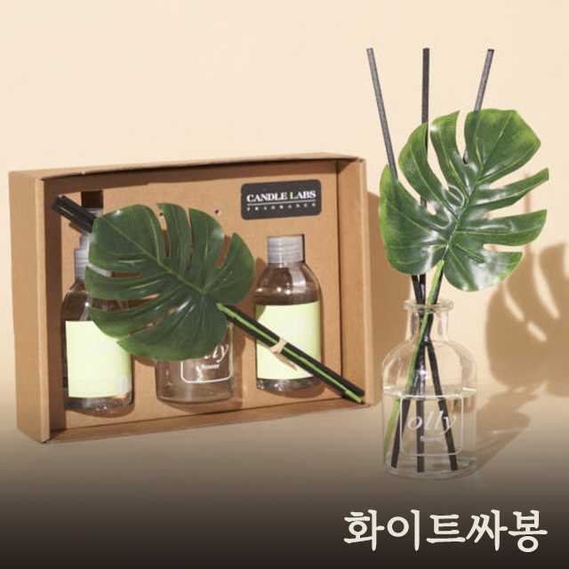 올리 몬스테라 디퓨저 기프트세트_화이트싸봉