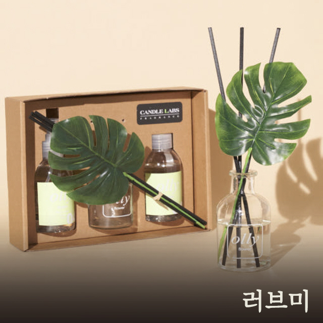 올리 몬스테라 디퓨저 기프트세트_러브미