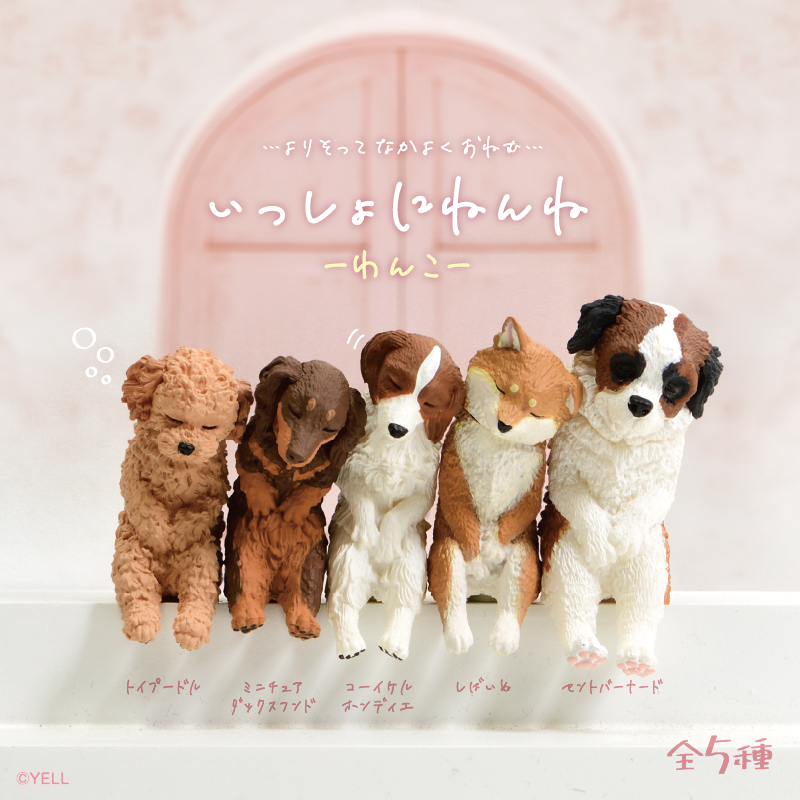 Yell 함께 자자 왕코