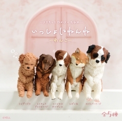 Yell 함께 자자 왕코