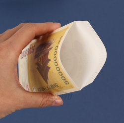 NEW 돈다발 돈봉투 5매입 (24개 1세트)