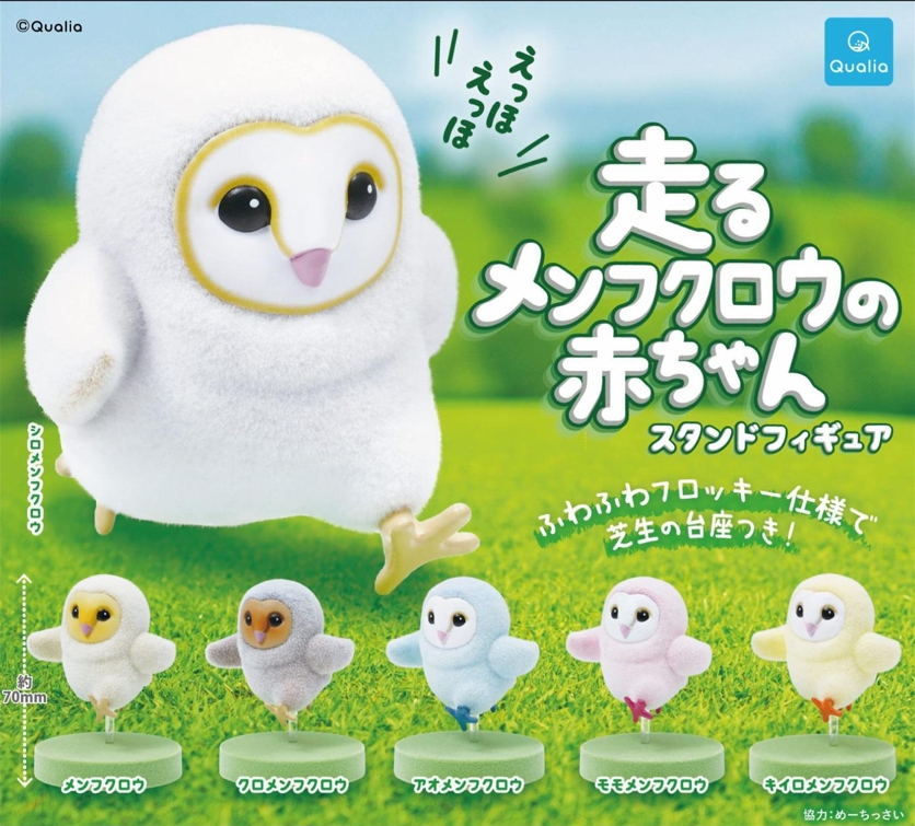 캡슐_달리는 올빼미 아기 스탠드 피규어 6종 (30개 1세트)_가챠박스 무료증정