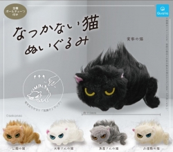 캡슐_정 안 가는 고양이 봉제인형 5종 (20개 1세트)