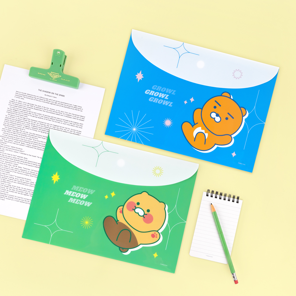 카카오프렌즈 비비드 봉투 파일