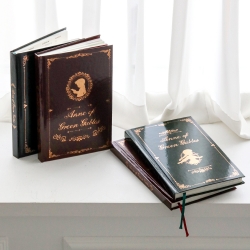 빨강머리앤 빈티지다이어리