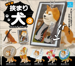 캡슐_낑겨버린 강아지 3 볼체인 마스코트 (40개 1세트)_가챠박스 무료증정