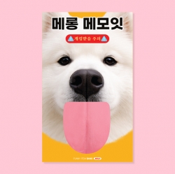 사모예드 메롱 메모잇 M