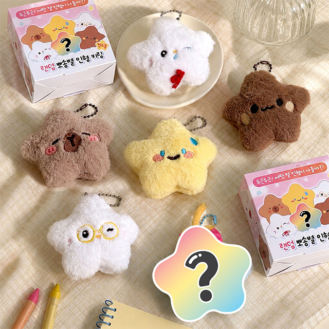 랜덤 뽀송 별 인형 키링 (12개 1세트)
