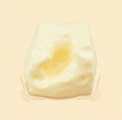 진짜 왕 치즈 슬랑이