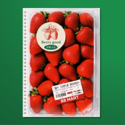 마트 스프링 딸기 노트 코넬노트 B5