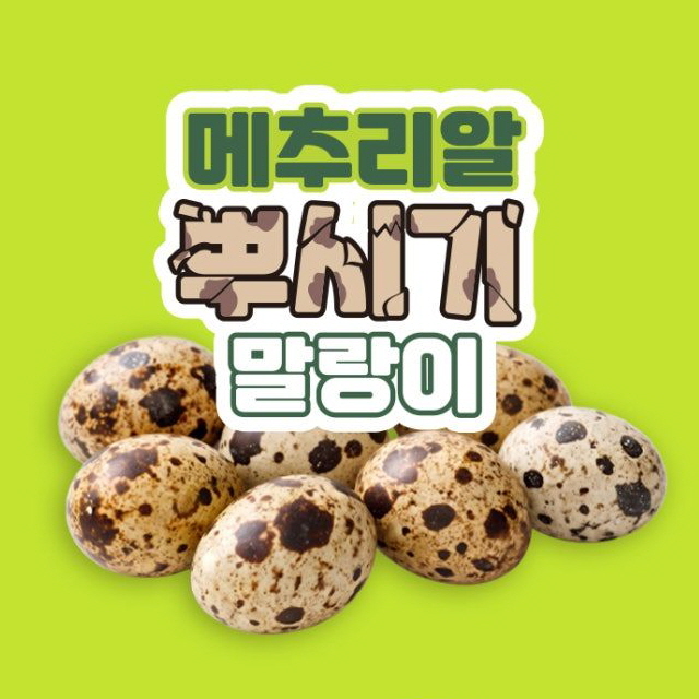 메추리알 뿌시기 말랑이 (25개 1세트)